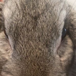 Meet your Posher, Valicia